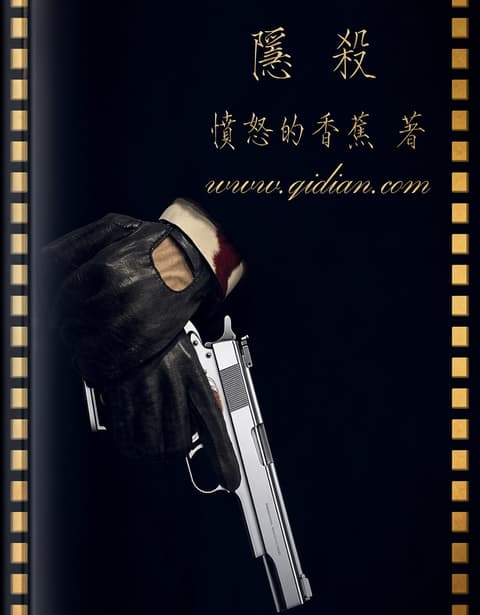 Cover of Hidden Assassin