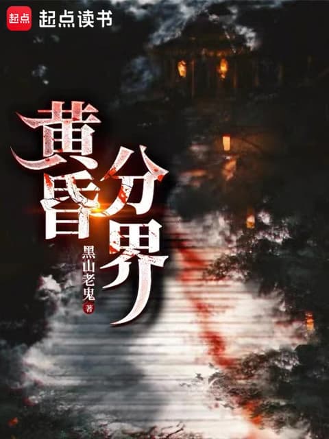 Cover of Twilight Boundary